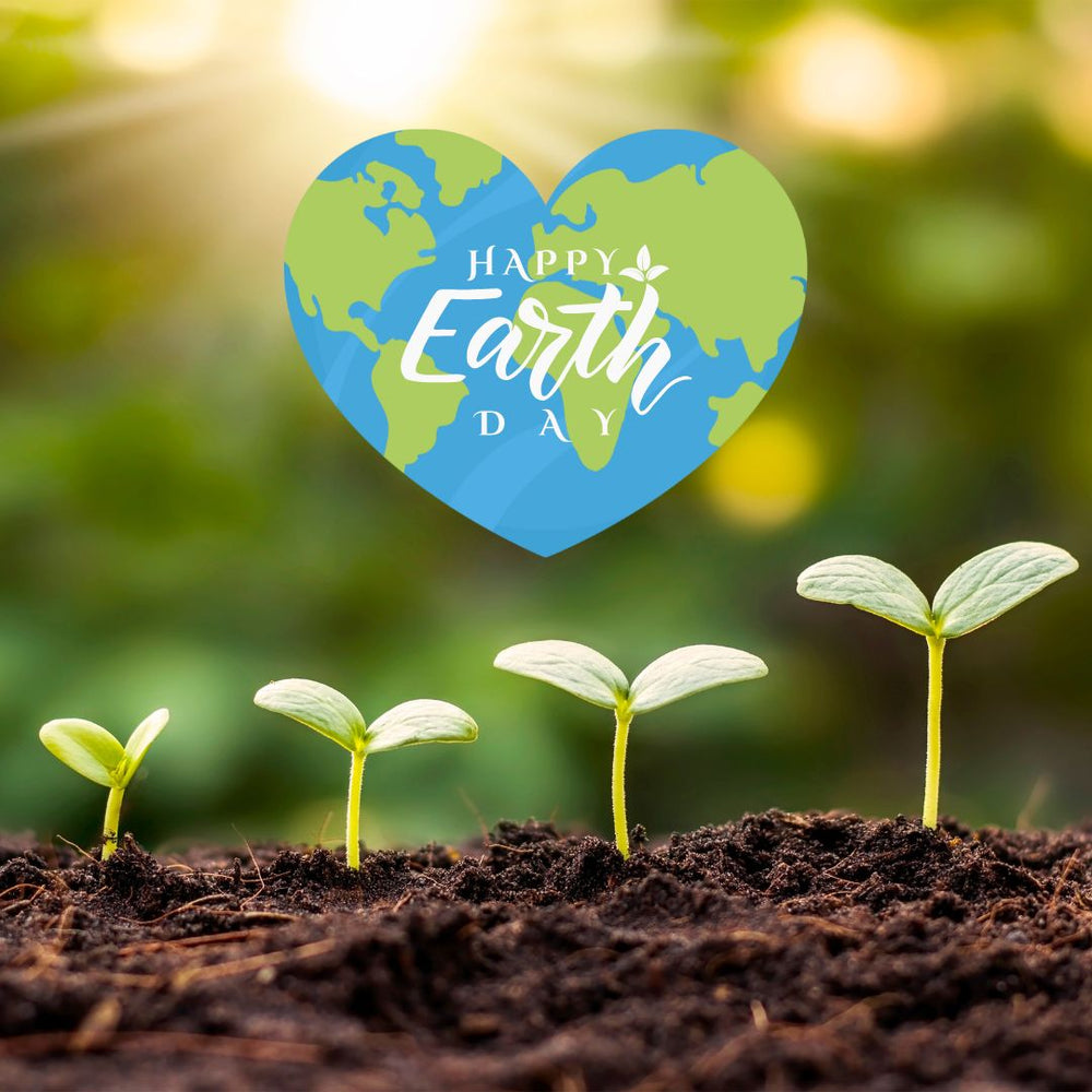 6 Ways to Celebrate Earth Day