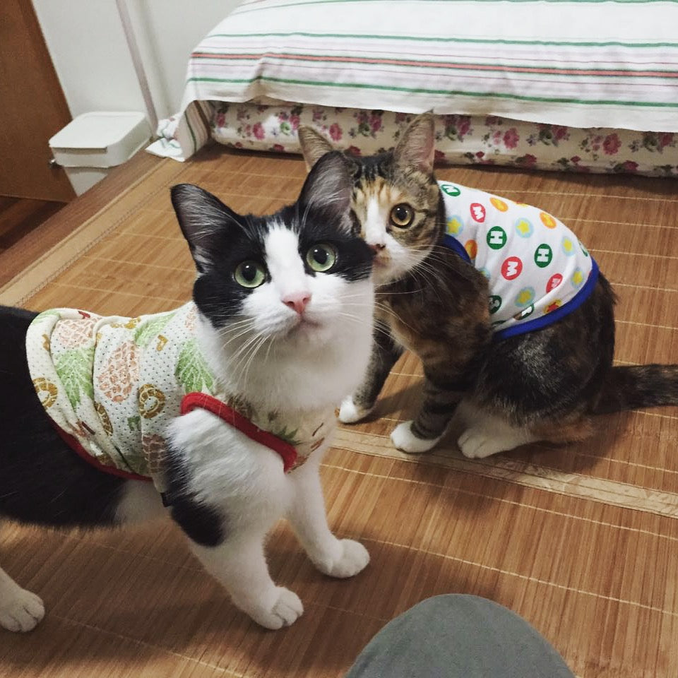 Share Your Story: Mengyi